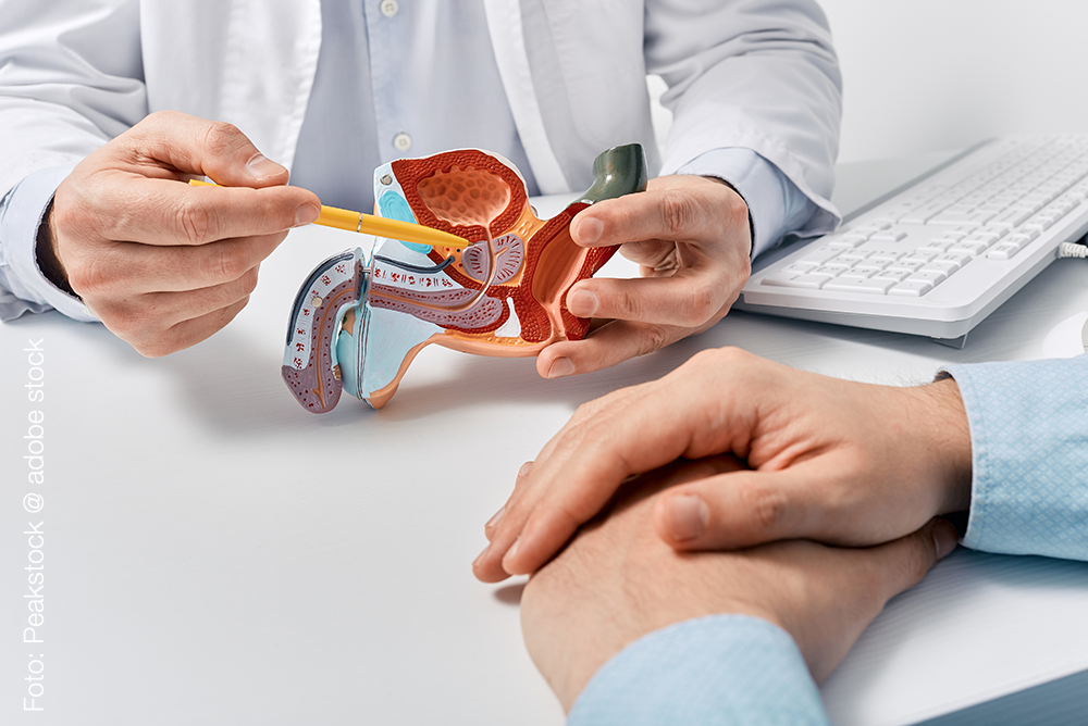 AdobeStock_593478476 AdobeStock_593478476